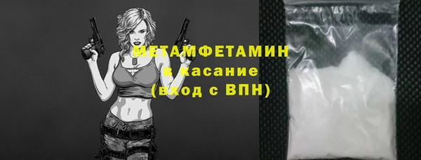 молекула духа Вяземский